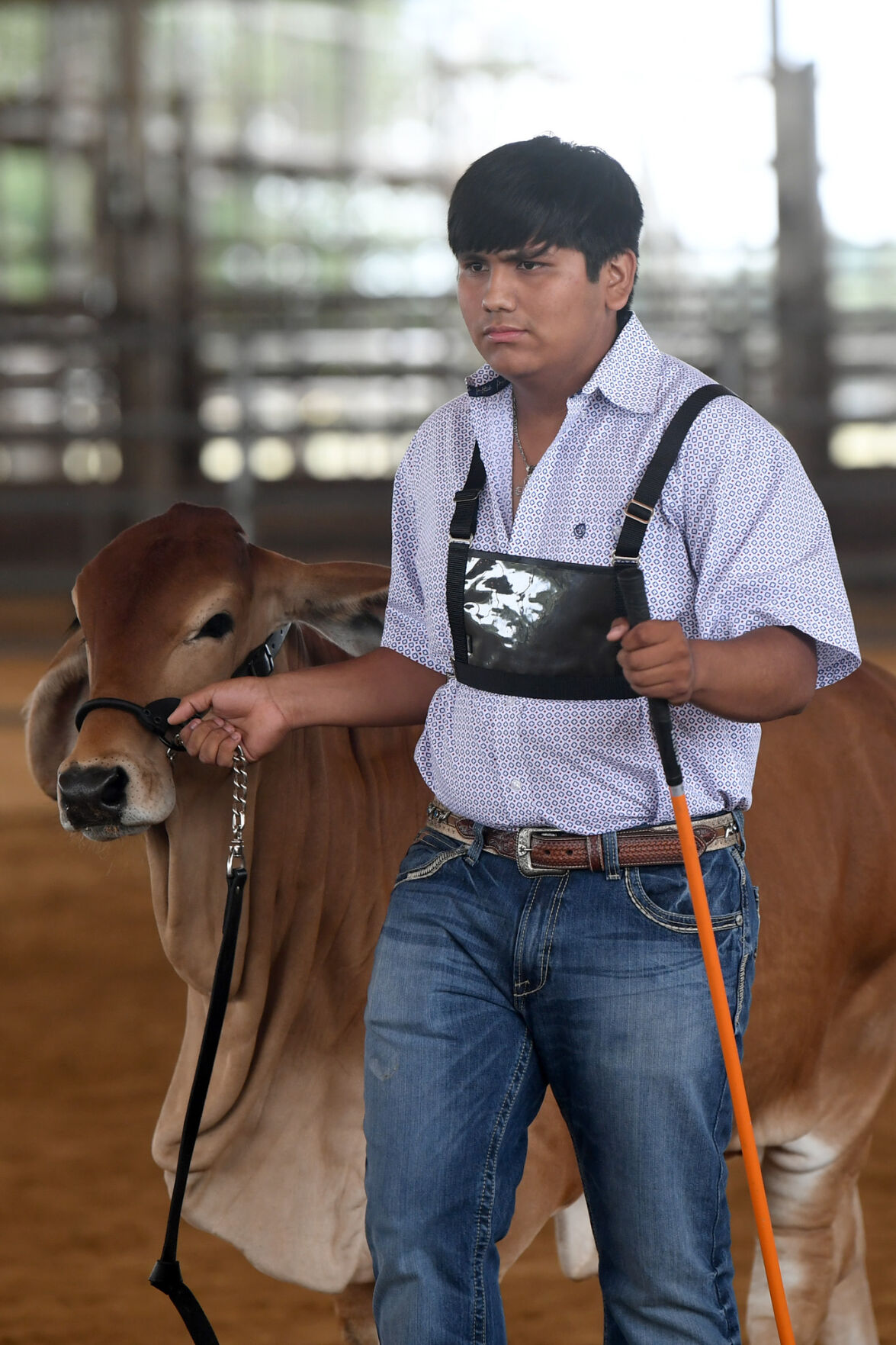 Burleson County Fair